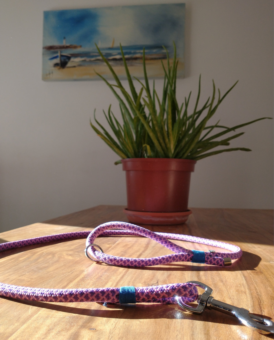 Une laisse rose et bleue en corde posée sur une table devant une plante
