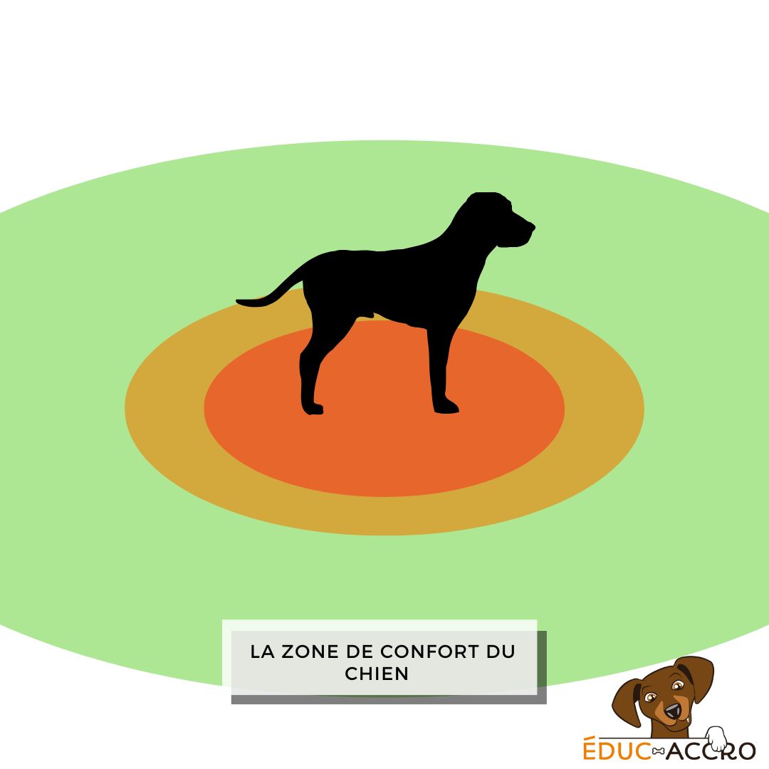 Zones de confort du chien, illustrées par des cercles allant du vert au rouge