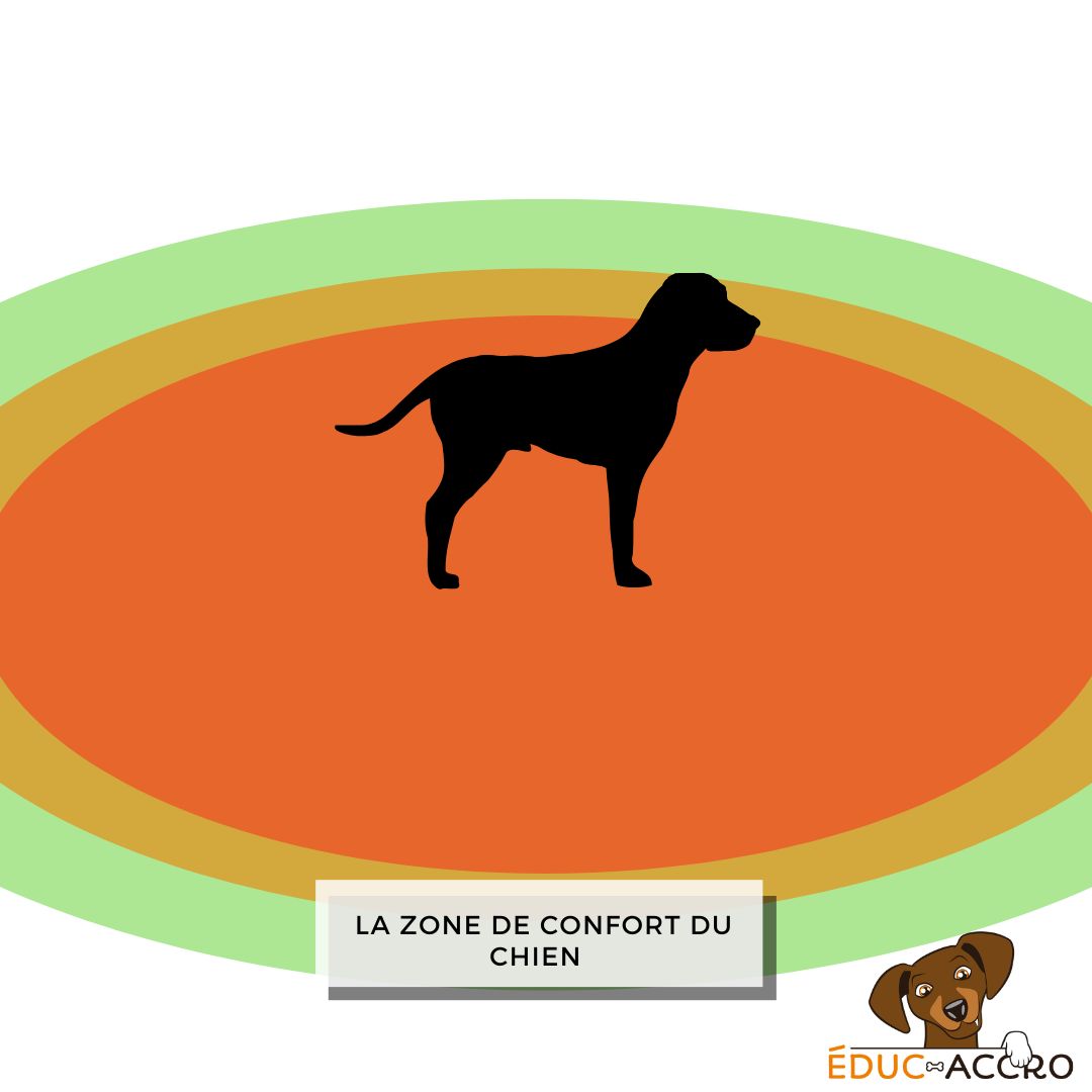 Une illustration de la zone de confort du chien par des cercles, allant du vert au rouge