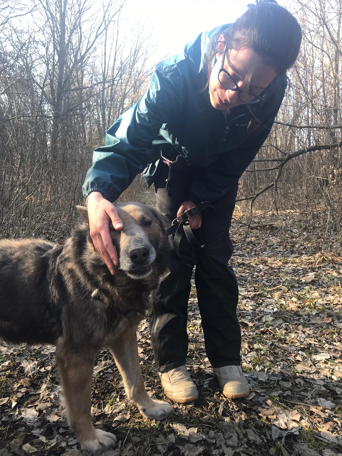 Marie touchant la tête d'un chien roumain en forêt