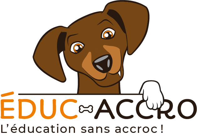 Educ-Accro